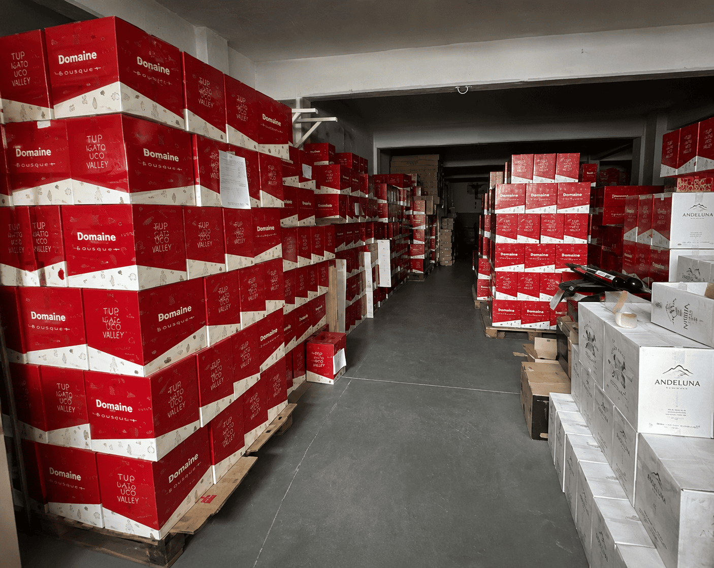 Depósito de Distribuidora Devoto con stock de productos Bonafide organizado para distribución mayorista.